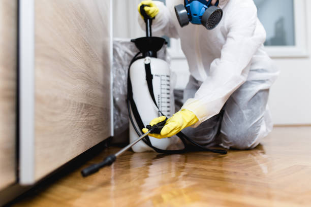 Best Pest Inspection Near Me  in Flowery Branch, GA