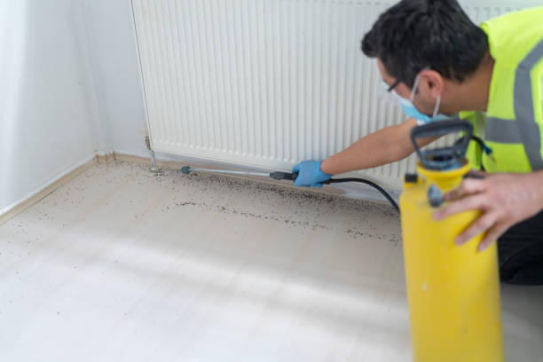 Best Exterminator Services  in Flowery Branch, GA