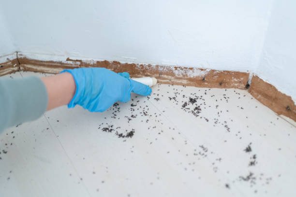 Best Commercial Pest Control Services  in Flowery Branch, GA