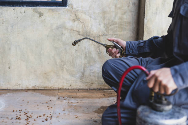 Best Emergency Pest Control  in Flowery Branch, GA
